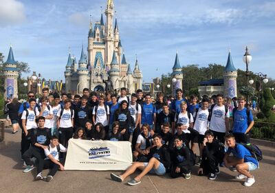 Disney Castle